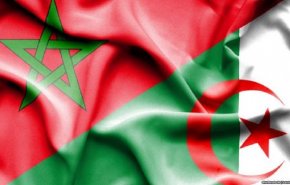 فيديو: 
