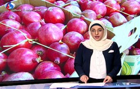 نشرة الاخبار الاقتصادية من قناة العالم 15:30 بتوقيت غرينتش 15-11-2018
