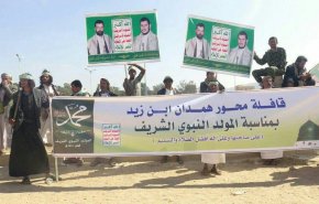 بالصور...فرح وابتهاج في محافظة تعز اليمنية بذكرى المولد النبوي الشريف