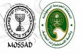 شركة 