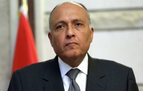 مصر: امتداد الأزمة الليبية يهدد المنطقة كلها بالانفجار