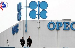قرار قطر بشأن اوبك.. ومستقبل أسعار النفط