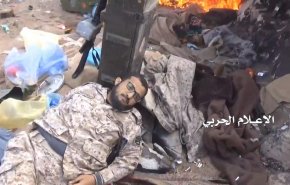 بالاسماء.. إعلام العدوان السعودي يعترف بقتلاه خلال نوفمبر الماضي+انفوغرافيك