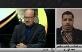 وفد المستقيل هادي يضع العصي بعجلة مشاورات السويد.. ماذا اشترط؟