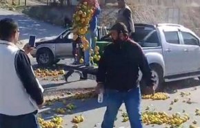 نزولاً عند رغبة مواطنيه.. “الأردن” يمنع استيراد الحمضيات من “سوريا”!