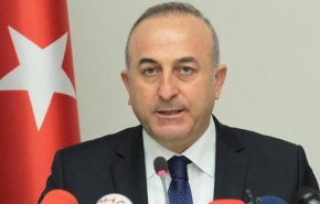  واشنطن تعتقل بعض أنصار المعارض التركي غولن