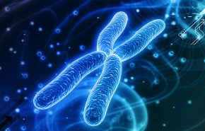 ماسبب طول عمر النساء أكثر من الرجال؟