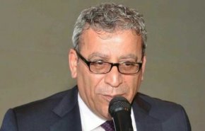  بزي : تأليف الحكومة اللبنانية في حالة جمود
