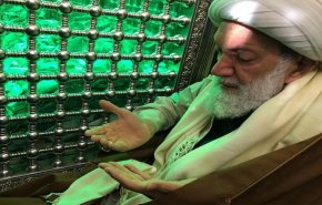  آية الله الشيخ عيسى قاسم في مقام أمير المؤمنين