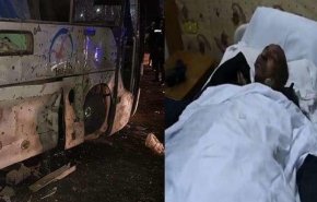 أول تصريحات لسائق حافلة السياح المصرية - فيديو