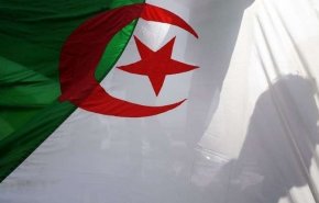 الجزائر.. الإعلان عن النتائج الأولية لانتخابات أعضاء مجلس الأمة