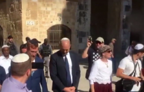 بالفيديو ...استمرار الاقتحامات الاستفزازية للمسجد الاقصى بحماية امنية 