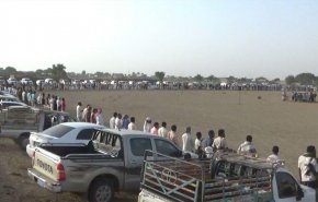 قبائل اليمن تندد بخروقات العدوان ومرتزقته في الحديدة