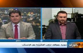 نشرة بانوراما: 