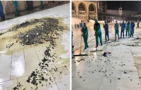 استنفار في مكة لمواجهة هجوم الصراصير