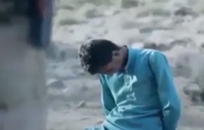 بالفيديو.. 