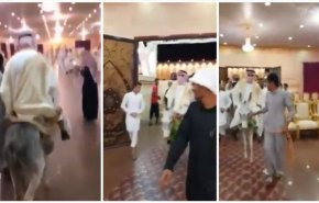 بالفيديو.. 