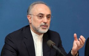 صالحي: نمضي قدما في مجال محركات الدفع النووي