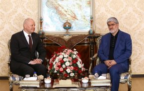 انتقاد نائب رئیس مجلس شورای اسلامی از آلمان

