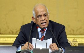 رئيس البرلمان المصري: النظام السابق سقط بسبب فساده