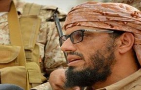 احتفالات يمنية بفوز قطر تثير غضب مرتزقة الامارات