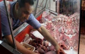بالفيديو.. لحوم البغال والحمير رسمياً ضمن واردات بلد عربي!