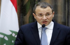 باسيل:الحل السياسي في سوريا سيكون محط إنقسام وسندفع الثمن