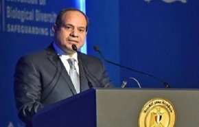 السيسي: ننفذ إجراءات أمنية مكلفة للغاية