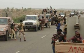 بالفيديو: حيلة مرتزقة الرياض لعرقلة اتفاق الحديدة