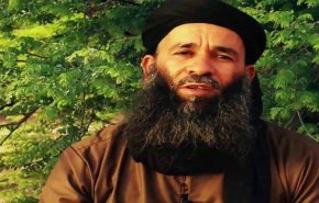 باريس تعلن مقتل أبرز قادة القاعدة في منطقة الساحل