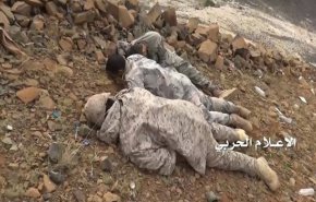 قتلى وجرحى من المرتزقة بتعز اليمنية