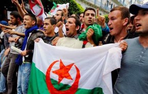 الجزائر...اشتباكات بين الشرطة والمتظاهرين قرب قصر الرئاسة
