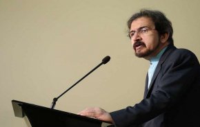 قاسمي: حققنا تقدما جيدا في التنسيق مع شركائنا التقليديين ضد الحظر