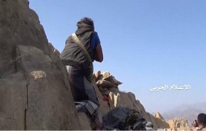 مصرع مرتزقة وتدمير مدرعة بكسر زحف بالضالع وكمين بنهم
