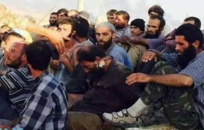 2000 داعشي يسلمون انفسهم لـ