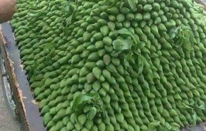 لعشاق