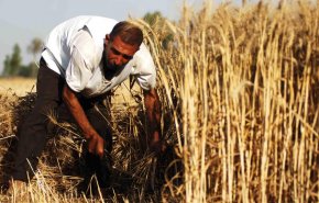 السماء تمطر 250 مليون دولار على السوريين..