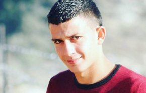 شاهد .. هدية الشهيد عمر ابو ليلي منفذ عملية 'ارئيل' في عيد الام