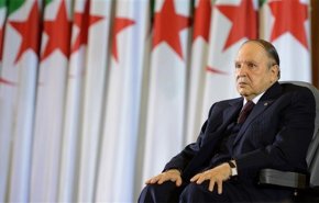 مؤتمر الحوار لا جدوى منه وعلينا تنظيم انتخابات رئاسية
