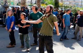 مستوطنون يعتدون على سيدة فلسطينية ونجلها بالخليل + فيديو