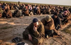 أميركا تسلم الجزائر 'دواعش' من سوريا!