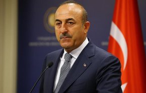 هذا موقف تركيا من دول عربية لم تعلق على قرار ترامب بشأن الجولان