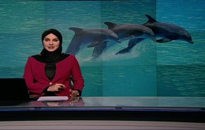 نشرة الاخبار من قناة العالم الساعة 10:00 بتوقيت غرينتش 28-03-2019
