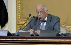 رئيس البرلمان المصري يرفض مقترح سحب الجنسية من معارضي التعديلات الدستورية
