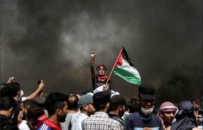 تغطية خاصة بفعاليات يوم الأرض والذكرى الأولى لمسيرات العودة