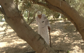 شاهد.. أحداث يوم الارض لاتزال راسخة في ذاكرة الفلسطينيين 