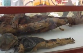 بالفيديو: العثور على أكثر من 50 مومياء في سوهاج بمصر