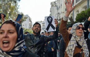 رسالة نارية من الجزائريين لـ” محمد بن زايد” والإمارات.. “لا للامارات بارض الشهداء”