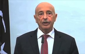 صالح: الجيش الليبي يسعى لتطهير العاصمة من المسلحين