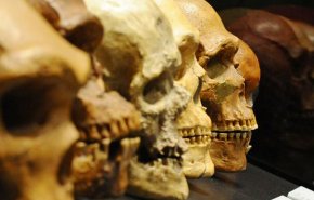 اکتشاف بقايا نوع جديد من البشر